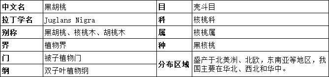 1595466520848199.png image.png