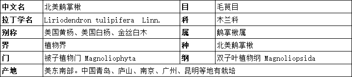 1595655567242539.png image.png